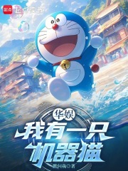 ���飺����һֻ����è